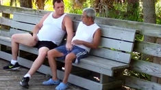 older gays have sex in public park