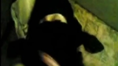 Nek Monakaba