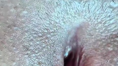 Amateur blowjob close up