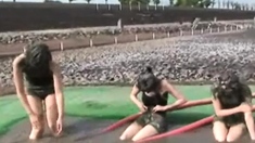 Amateur hottie fucked outdoor in public