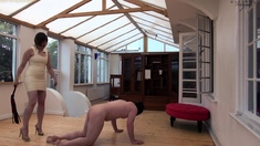 Pink labia close up of naive brunette