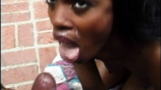 Black and round asses