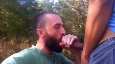 Big Cock Blowjob Outside