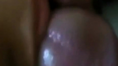 Girl's blowjob closeup