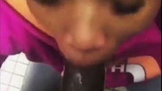 Restroom Cum Swallow