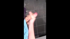 German Public Restroom Wank And Cum